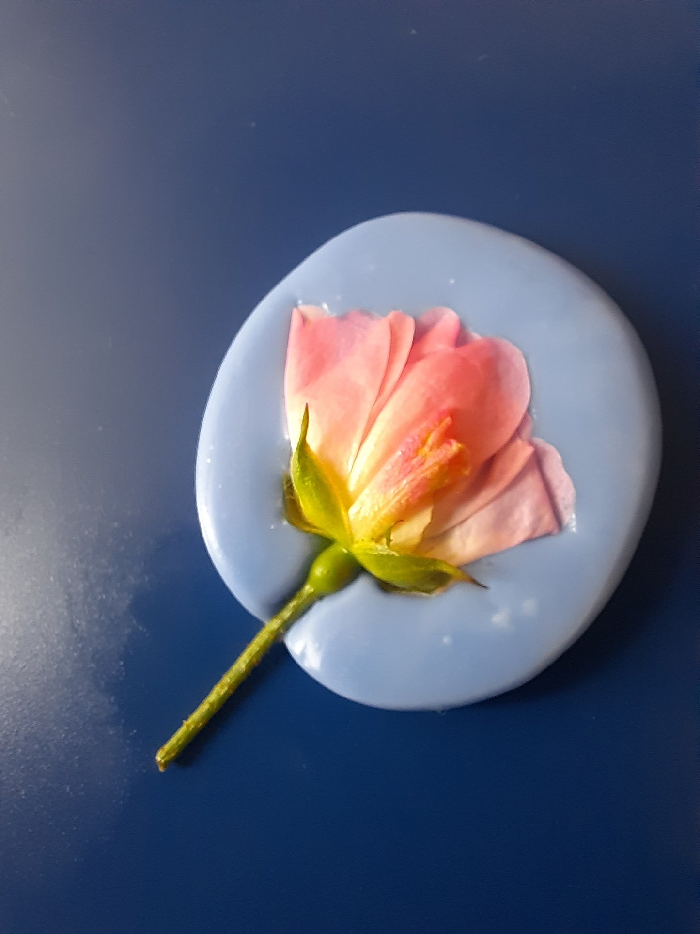 Art Clay Workshop Altona